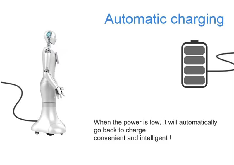 Humanoid Robots Intelligent Reception and Guidance Service Robot Educational Robot 4