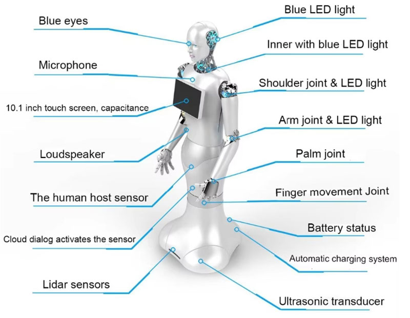 Humanoid Robots Intelligent Reception and Guidance Service Robot Educational Robot 12