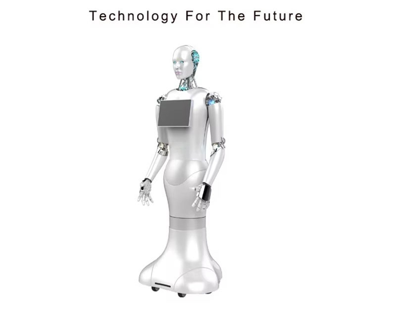 Humanoid Robots Intelligent Reception and Guidance Service Robot Educational Robot